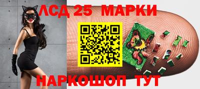 мяу мяу мука Дмитров