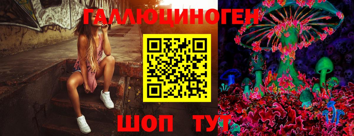 Железногорск  наркота  Псилоцибиновые грибы GOLDEN TEACHER  Вход с VPN  Галлюциногенные грибы мухоморы 